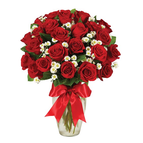2 dozen roses, red (BF232-11KM)