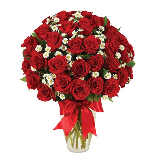 3 dozen roses, red (BF234-11KM)